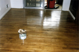 floor_1950
